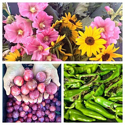 Flagstaff Farmers Market