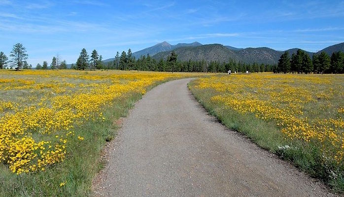 Buffalo Park Flagstaff