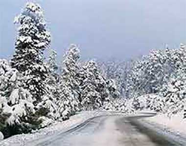 Traffic & Road Conditions