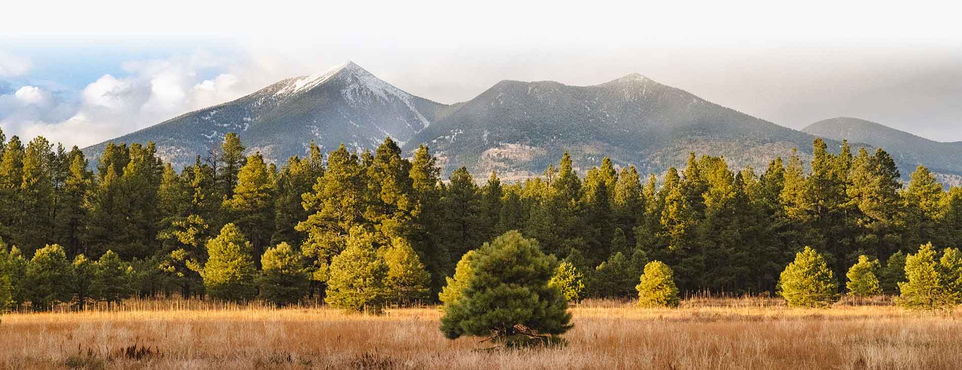 Scenic landscape photo of Northern Arizona