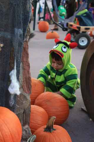 Halloween in Flagstaff