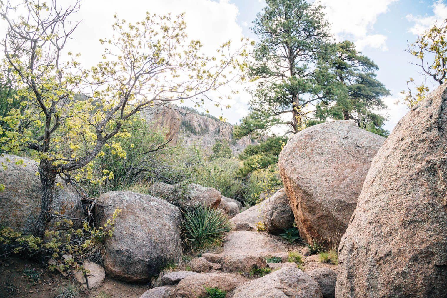 Fisher Point Trail Flagstaff