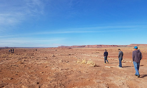 View from the Hamblin Ridge