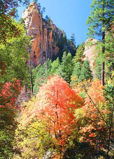 Oak Creek Canyon Sedona during the fall
