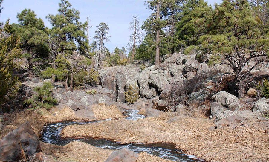 Picture Canyon Flagstaff