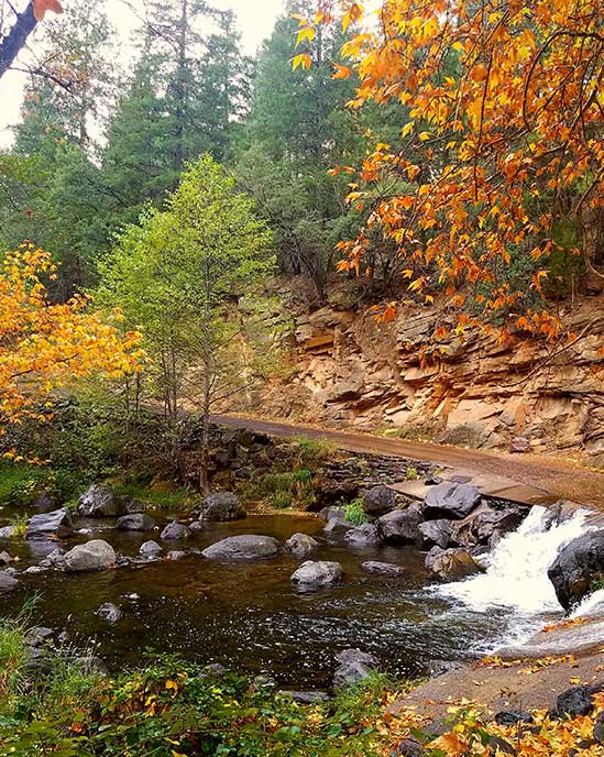 Fall colors at Oak Creek Canyon Sedona