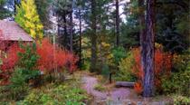 The Arboretum